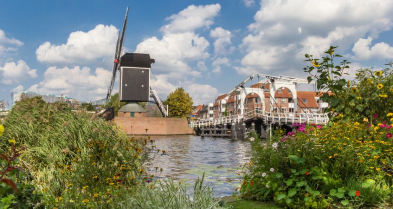 De mooiste fietsroutes van Zuid-Holland