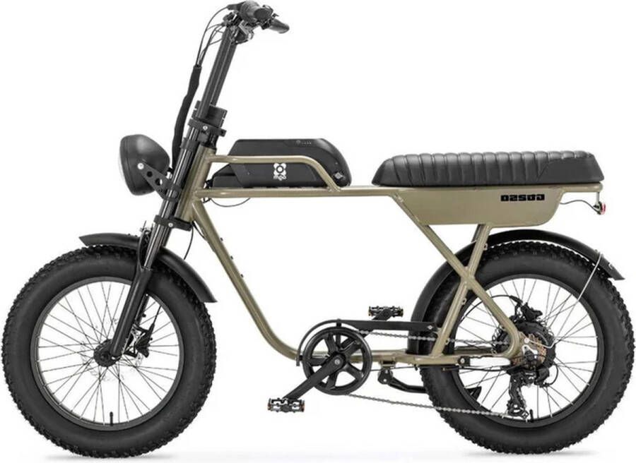 AGM GT250 Fatbike 12.8Ah Groen Hydraulische rem