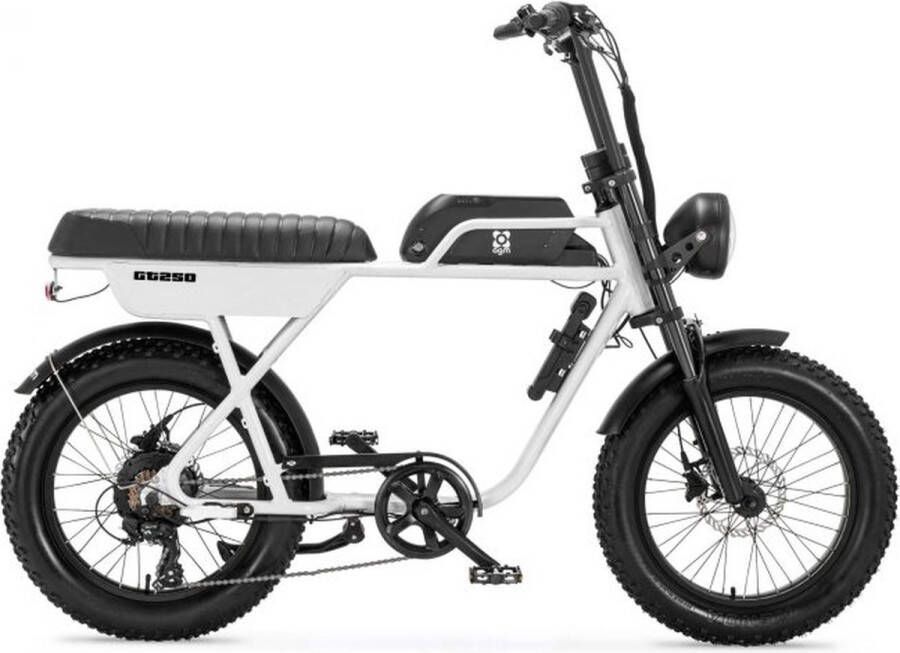 AGM GT250 Fatbike 12.8Ah Wit Hydraulische rem