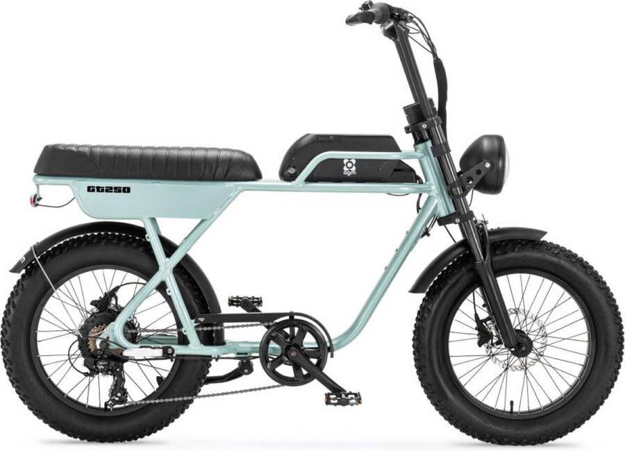 AGM GT250 Fatbike Grijs 250W Elektrische Fatbike