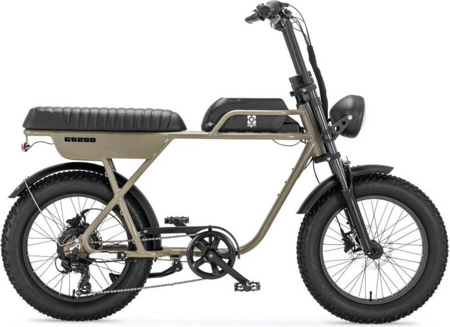 AGM GT250 Fatbike Groen 250W Elektrische Fatbike