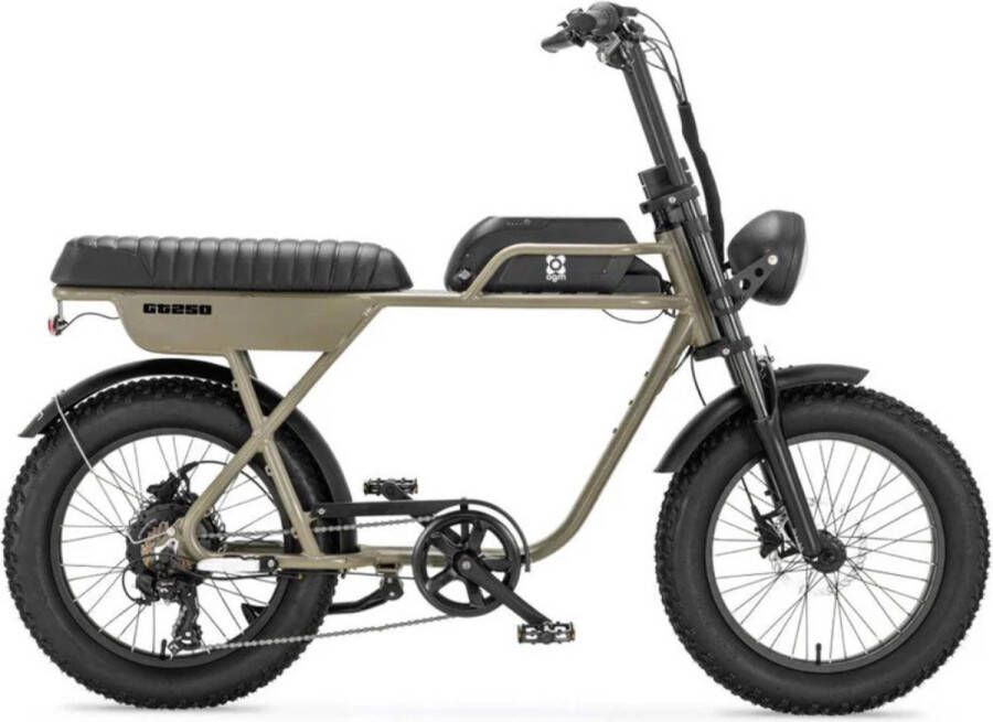 AGM GT250 Elektrische Fatbike Tweepersoonszadel Telefoonoplader 20 Inch 250W Motor 7 Versnellingen 80 km Actieradius Hydraulische Schijfrem Groen