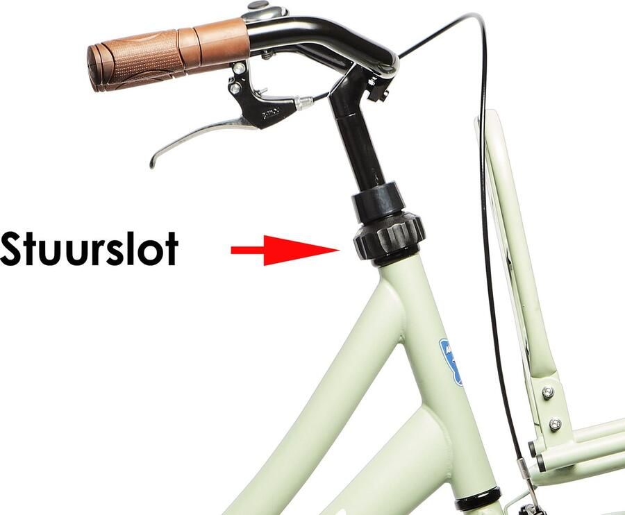 Antilope Transport Meisjesfiets 26 Inch Mat Lichtgroen Gratis Rijklaar Bezorgd