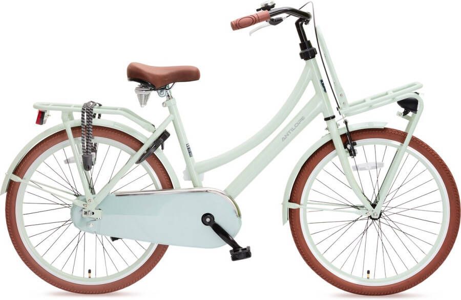 Antilope Mini Cargo X1 Transport 24 Inch Meisjesfiets Mat Lichtgroen