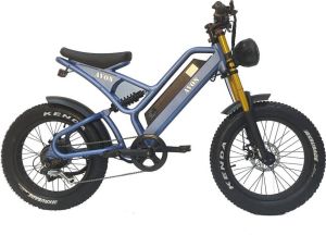 Avon Av20c005c Fatbike Elektrische Fiets 250w Gratis Rijklaar Bezorgd