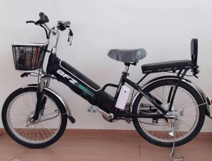 BGZ BFZ E-Bike