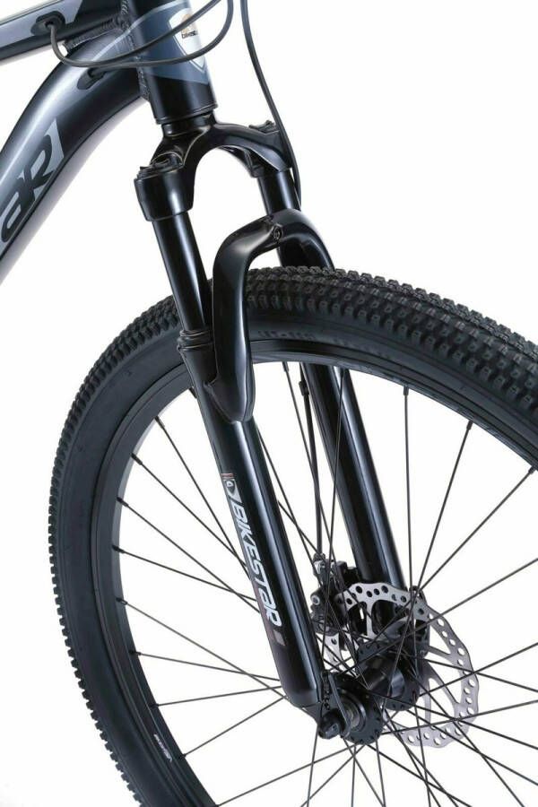 Bikestar 29 inch 21 speed hardtail Sport MTB blauw - Foto 2