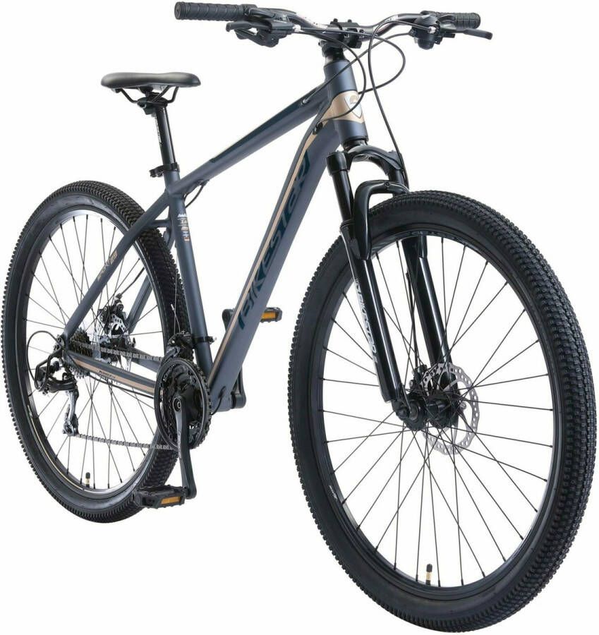 Bikestar Hardtail MTB Alu Sport Large 29 Inch 21 Speed zwart blauw