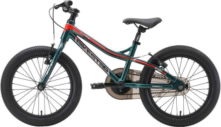 Bikestar kinderfiets Mountainbike alu 18 inch groen