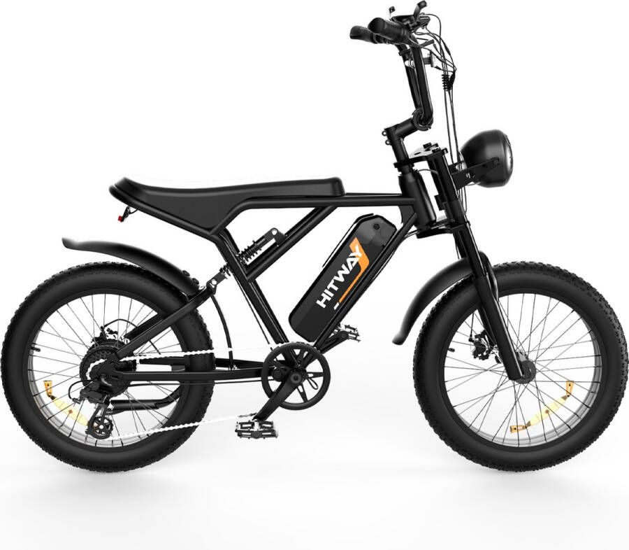 BK29 SavageTribe Fatbike