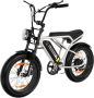 Colorway BK29G Elektrische Fatbike |250W Motor|20*4.0 Inch Off-road E-bike|36V 12AH lithiumbatterij Max 25km u 7 versnellingen - Thumbnail 1