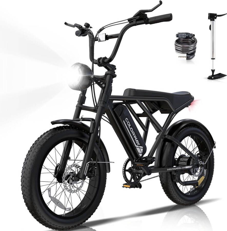 Colorway Elektrische Fiets BK29G 20*4.0 Inch Fatbike Mountain Snow EBike met Afneembare 36V 12Ah Lithium Batterij City Commuter E-Bike met 250W Motor IP54 Waterdicht