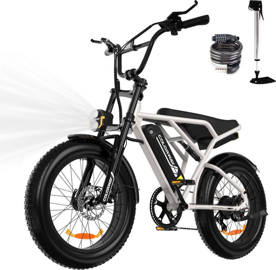 Colorway Elektrische Fiets BK29G Trendy 20*4.0 Inch Fatbike Mountain Snow EBike met Afneembare 36V 12Ah Lithium Batterij City Commuter E-Bike IP54 Waterdicht