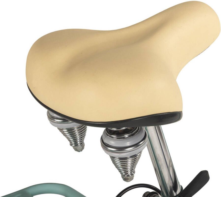 Dacapo Fiets damesfiets 28'' Balloon 6 versnellingen 48 cm turkoois 48 cm