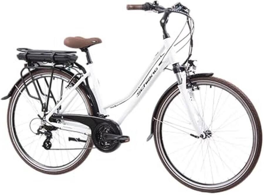 28 Inch E-Bike met 250 W Motor en Afneembare Lithium Accu