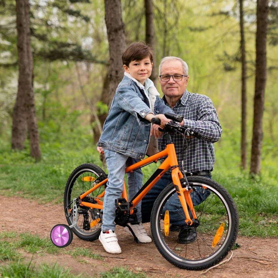 Allecto Plus Kinderfiets Stabilisatoren Set van 2 Roze Fiets Trainingswielen