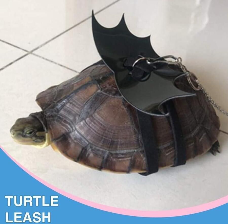 Driewiel-kinderfiets fiets voor en van 3 tot 5 jaar met dje en zijwieltjes blauw rood groen duurzaam en veilig geschikt voor kleuters leuke kinderfiets met d