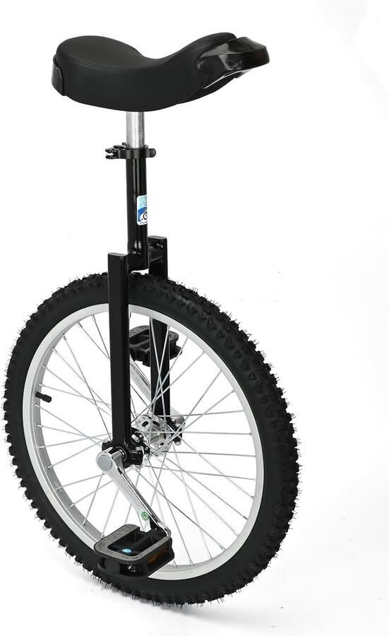 Eenwieler 20 inch zwart voor beginners en professionals volwassenen en kinderen uniseks