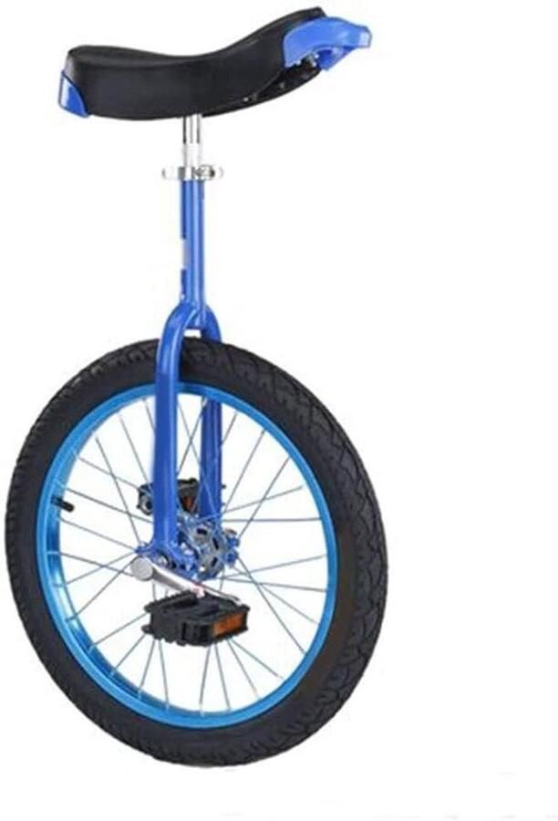 Eenwieler aluminiumlegering Wieltrainer sport Balans oefenen Stille lagers 20 inch wiel Zilver