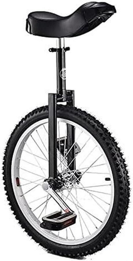 Eenwieler Balans Hometrainer Sport en Vrije Tijd Verstelbare Stoel 20 Inch Wiel Zwart