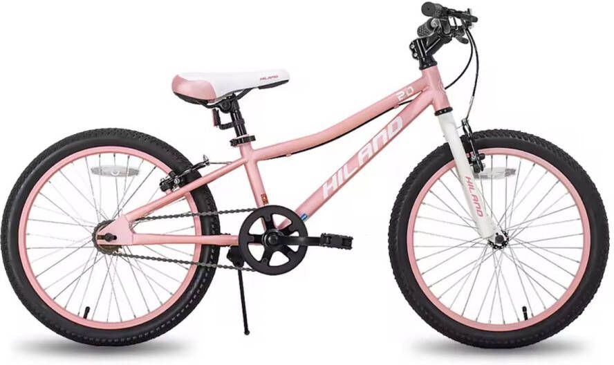 J&R Kinderfiets 20 kinderfiets Mountainbike 20 mountainbike Laag frame Roze
