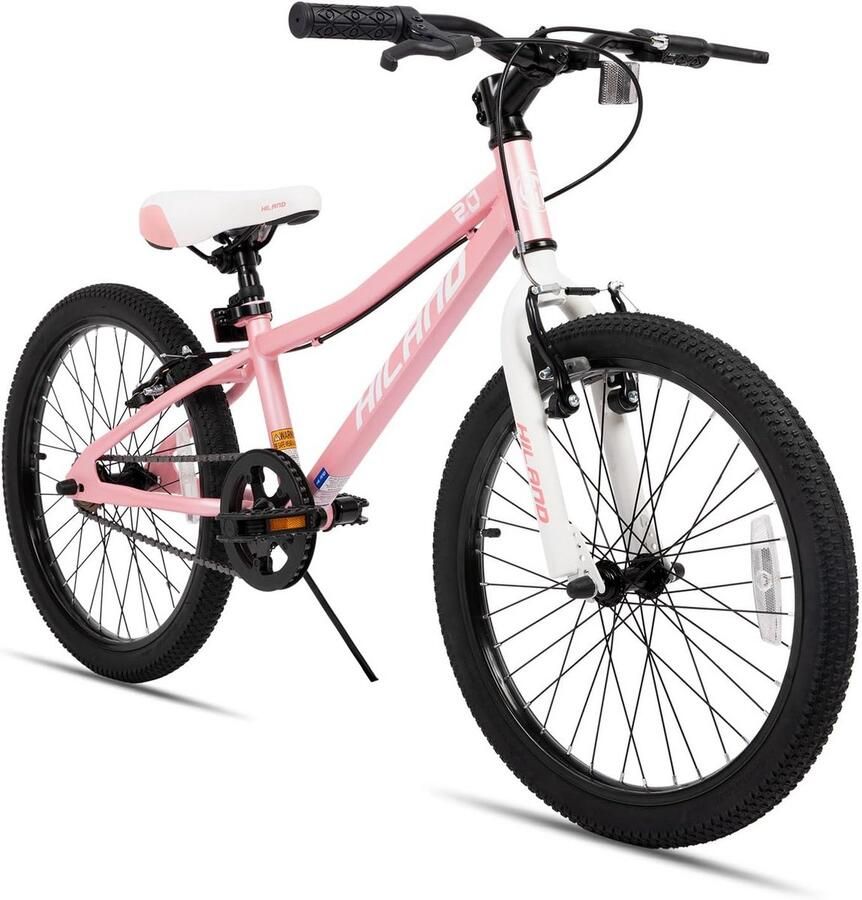 Kinderfiets 20 Inch Mountainbike Single Speed met V-Brake