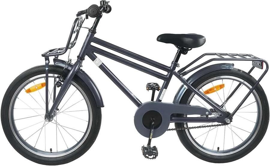 Kinderfiets 20 inch sfiets sfiets Veilige Ritten Stalen Frame 20 inch Donkergrijs
