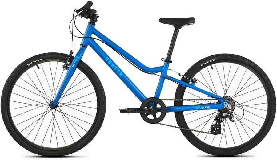 Kinderfiets 24 Inch sfiets sfiets Buiten Fietsen Licht Aluminium Frame 24 Inch Blauw