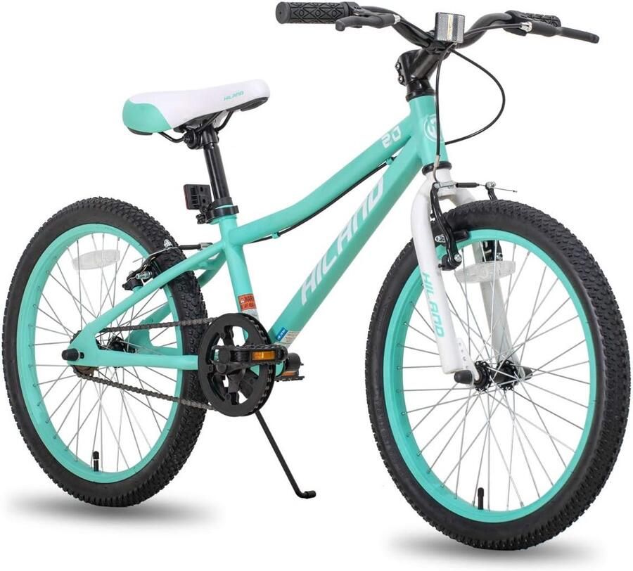 Kinderfiets Jeugdfiets Mountainbike Buiten Spelen Stalen Frame 20 inch Mintgroen