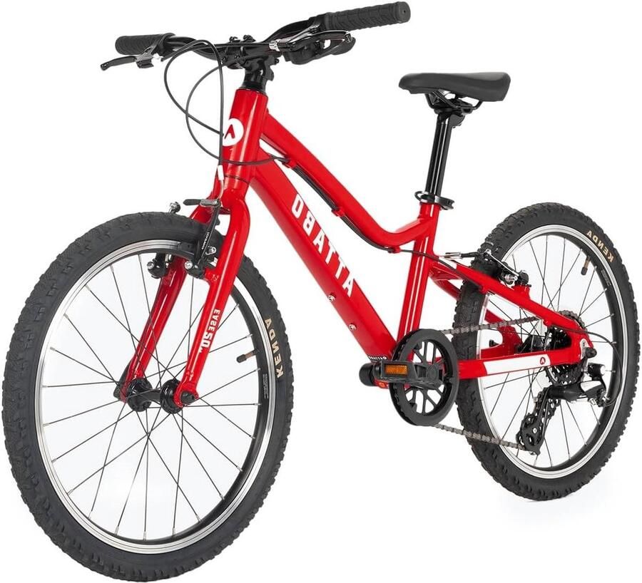 Kinderfiets sfiets sfiets Buiten Spelen Licht Aluminium Frame 20 inch Rood