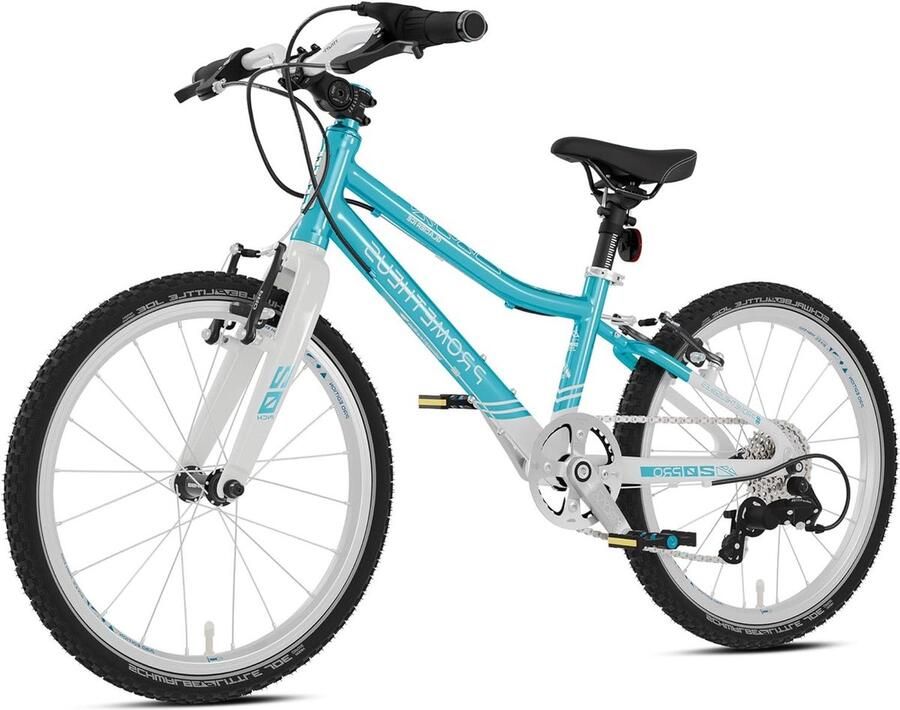 Kinderfiets sfiets sfiets Stadsverkeer Ultralicht aluminium frame 20 inch Blauw wit