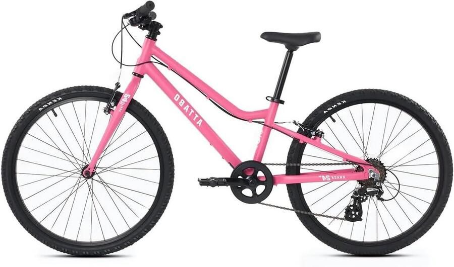 Kinderfiets sfiets sfiets Vrije Tijd Fietsen Licht Aluminium Frame 24 Inch Roze