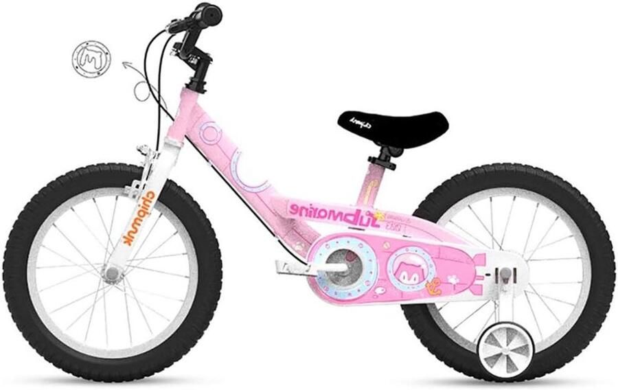 Kinderfiets Jongensmeisjesfiets Buiten spelen Stevige staalconstructie 16 inch Kleur D
