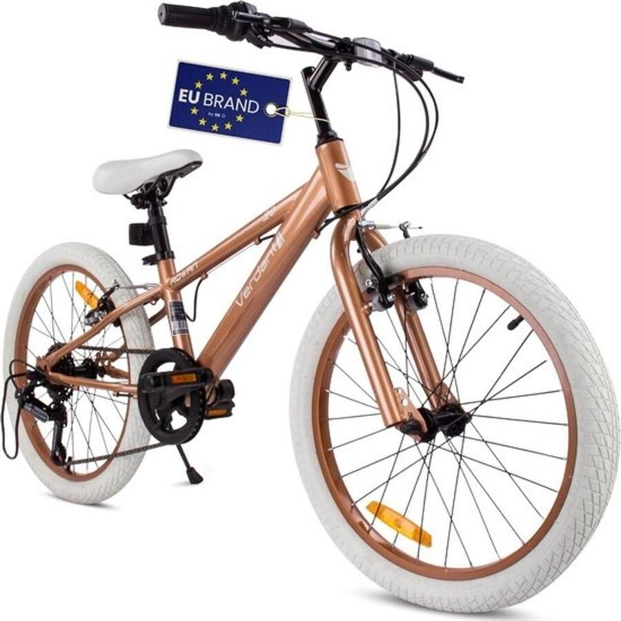 Kinderfiets voor jongens 20 inch met 6 versnellingen Verstelbare hoogte Comfort