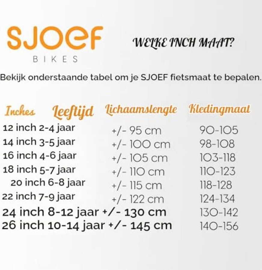 Meisjesfiets 22 Inch voor Kinderen van 7-9 Jaar
