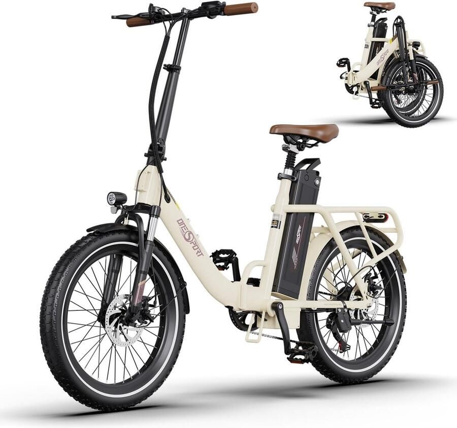 Opvouwbare Elektrische Fiets 20 Inch met 250W Motor en Grote Verwisselbare Batterij