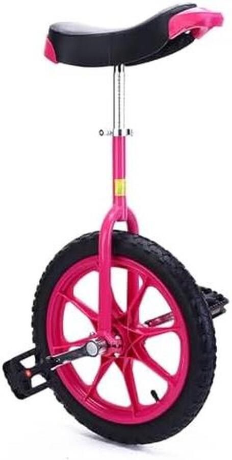 Verstelbare eenwieler Balansfiets Outdoor fitness Verbeter coördinatie 16 inch Zwart