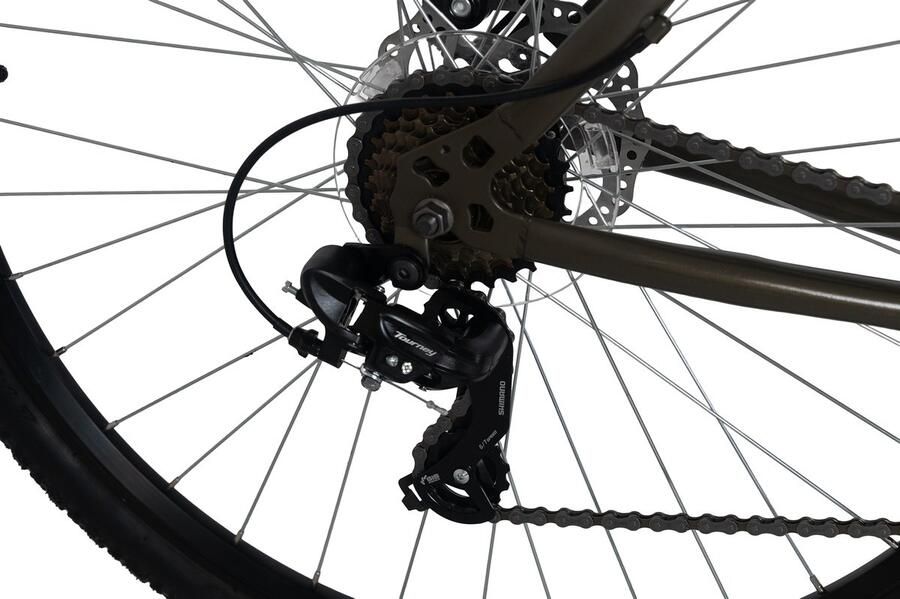WYLD mountainbike hardtail 29 Heist groen 21 versnellingen rechts 51 cm