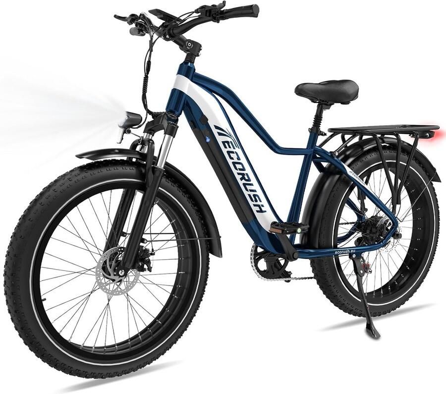 ECORUSH Elektrische Fiets ER10S Trendy 20*4.0 Inch Fat Tire City Commuter EBike met Afneembare 48V 12Ah Lithium Batterij Opvouwbaar Mountain E-Bike met 250W Motor 7 Versnellingen IP54 Waterdicht - Foto 2