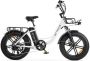 Engwe L20 Elektrische Fatbike E-bike 20 Inch 250W Motor 7 Versnellingen 140 km Actieradius Mechanische Schijfrem Wit - Thumbnail 2