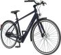 EZWLZ Elektrische Fiets Forenz H Actieradius 50 km YAMAHA Achterwielmotor Hybride E-Bike Elektrische fiets met 250W motor LCD Display Grijs Blauw - Thumbnail 2