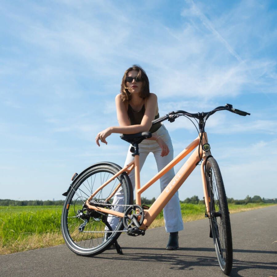 EZWLZ Elektrische Fiets Forenz L Actieradius 50 km YAMAHA Achterwielmotor Hybride E-Bike Elektrische fiets met 250W motor LCD Display Beige Zand