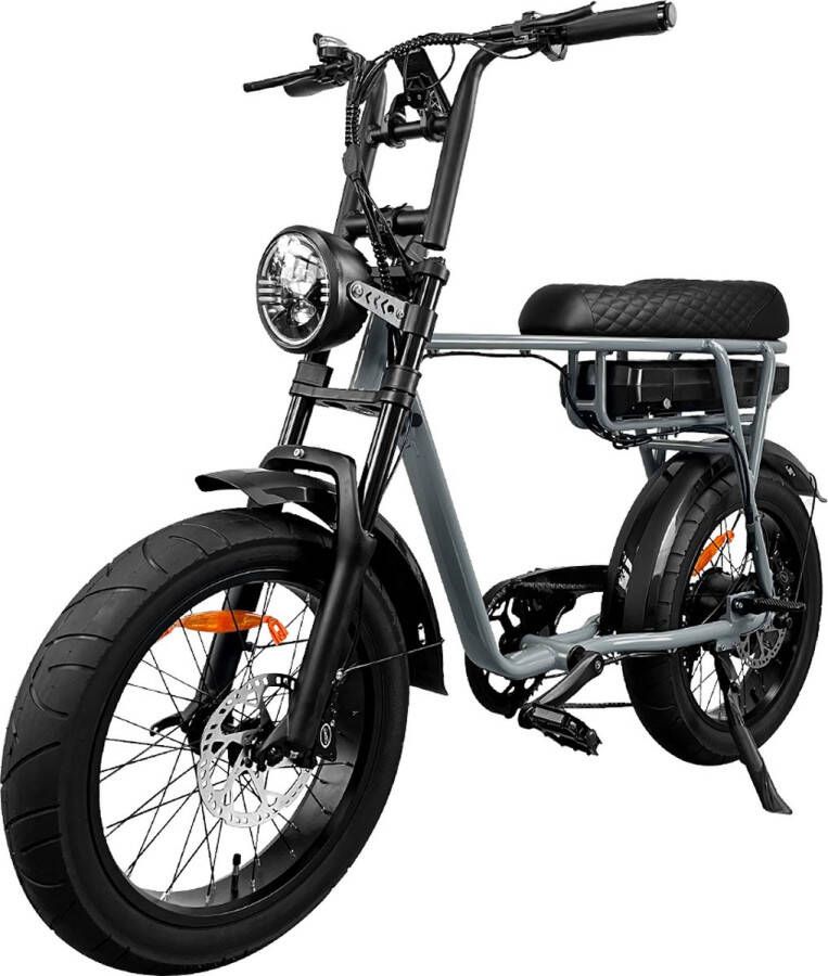Fat Wheelz FW4 Grey Edition Fatbike E-bike 250Watt 25 km u 20” Banden – 7 Versnellingen met alarm