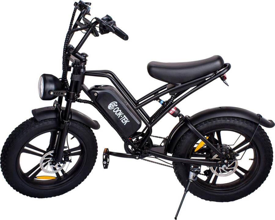 Fattire V10 Fatbike E-Bike 250Watt 25 Km U 20” Banden – 7 Versnellingen