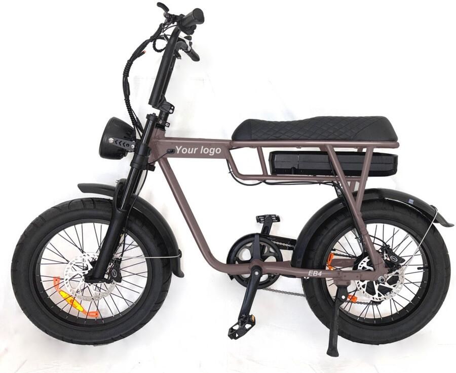 FATVOLT EB2 Fatbike 20 inch 250W motor 80 km actieradius coffee brown