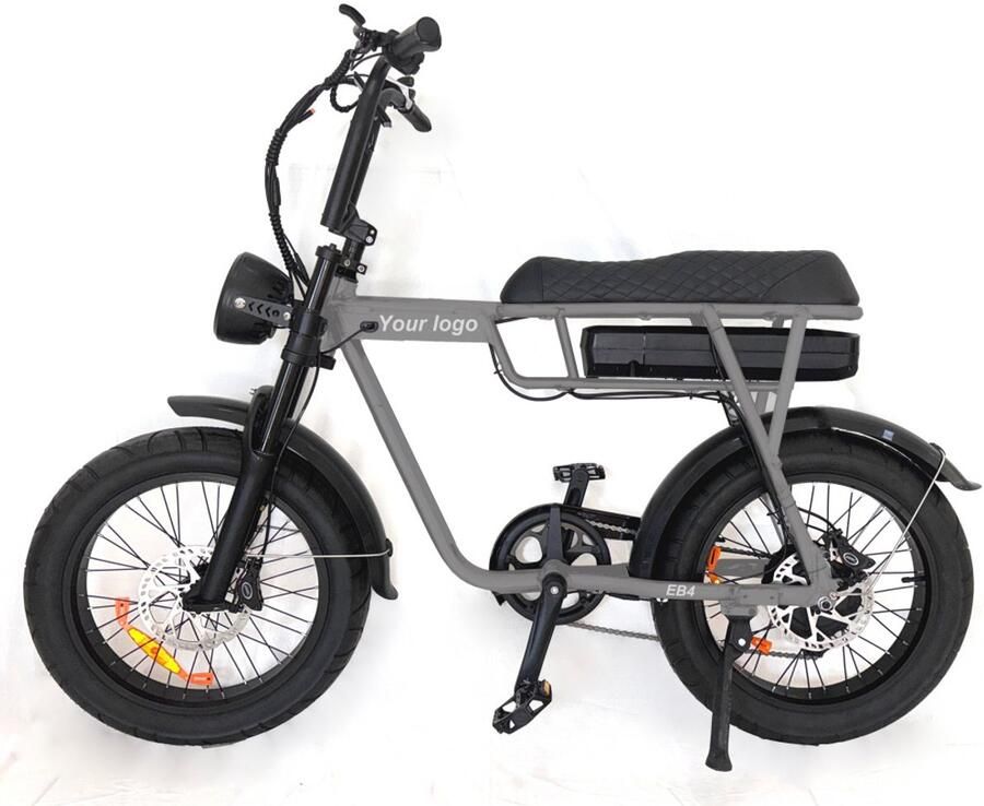 FATVOLT EB2 Fatbike 20 inch 250W motor 80 km actieradius zwart