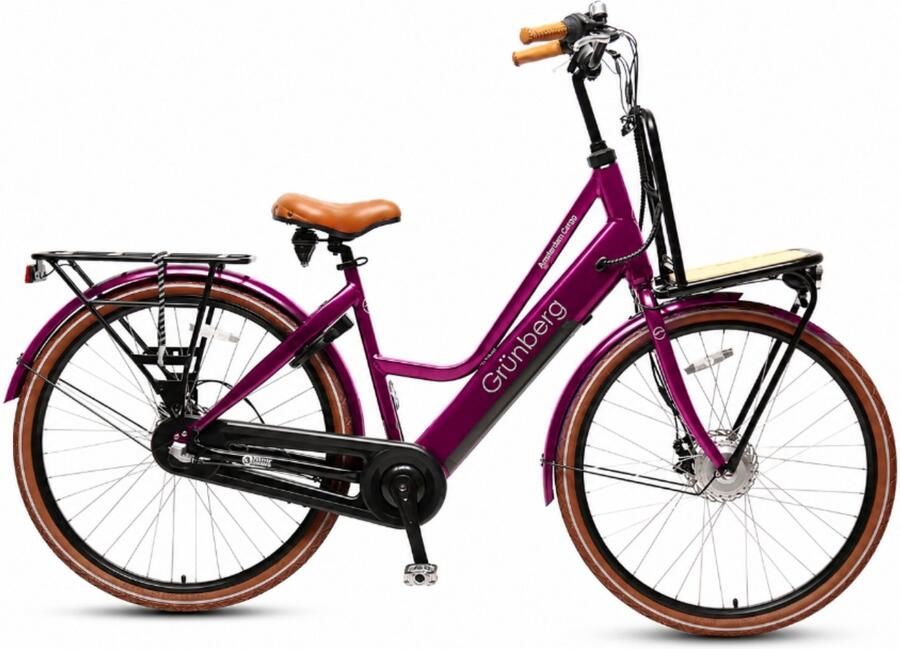 Grünberg Amsterdam Transport e-bike 50-60 km actieradius