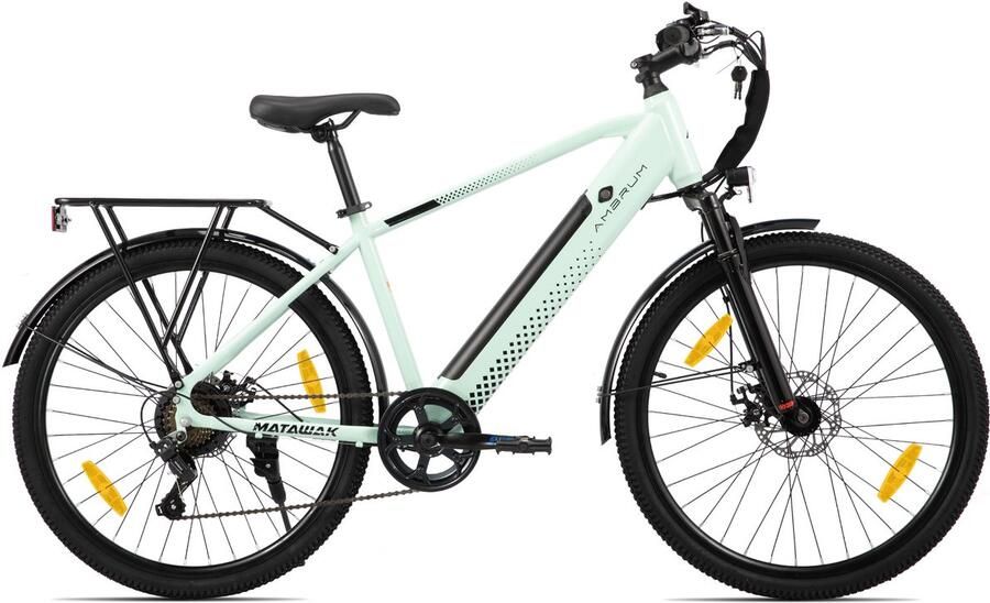 Hiland Elektrische Mountainbike 26 inch 250W Motor 36V 10.4Ah Accu E-MTB 7 Versnellingen Schijfrem Unisex