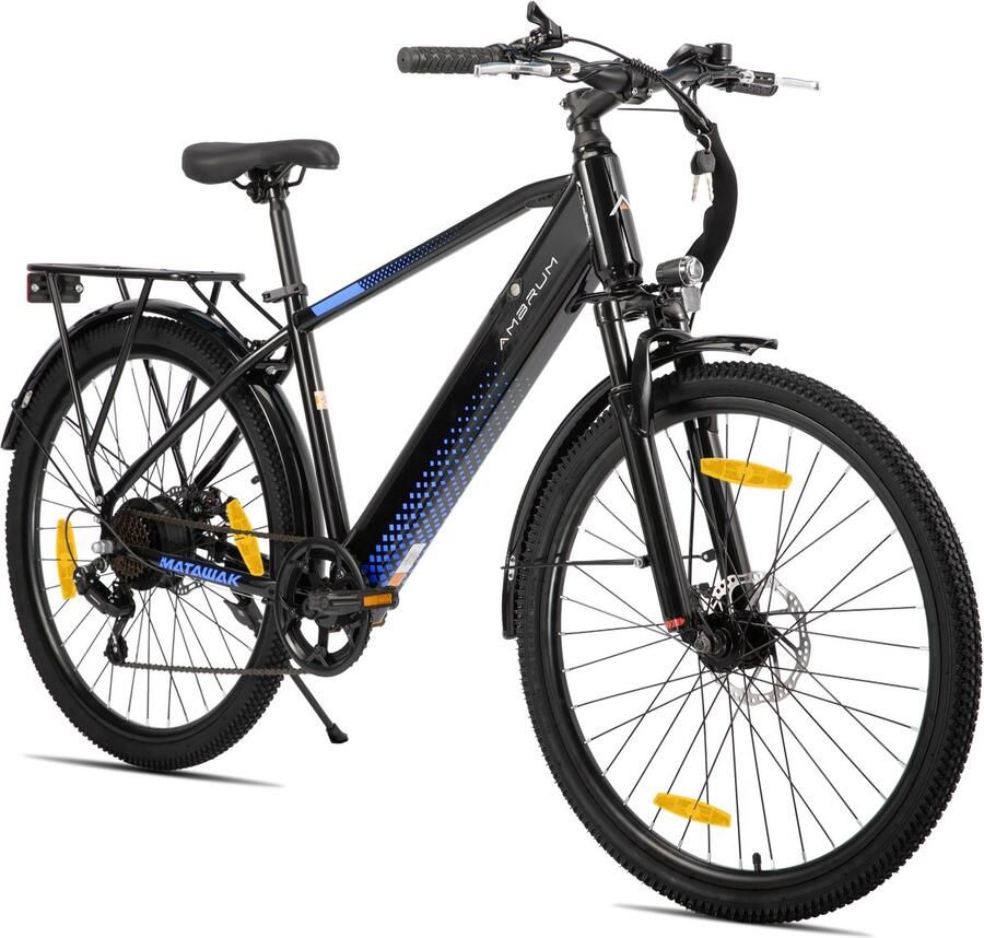Hiland Elektrische Mountainbike 26 inch 250W Motor 36V 10.4Ah Accu E-MTB 7 Versnellingen Schijfrem Unisex