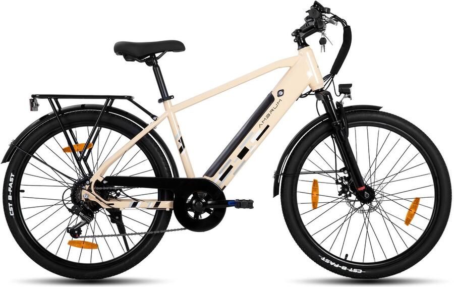 Hiland Elektrische Mountainbike 26 inch 250W Motor 36V 7.8Ah Accu E-MTB 7 Versnellingen Dubbele Schijfrem &